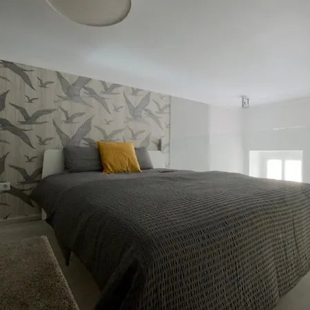 Apartment Standard By Hi5 - Terez 6 *