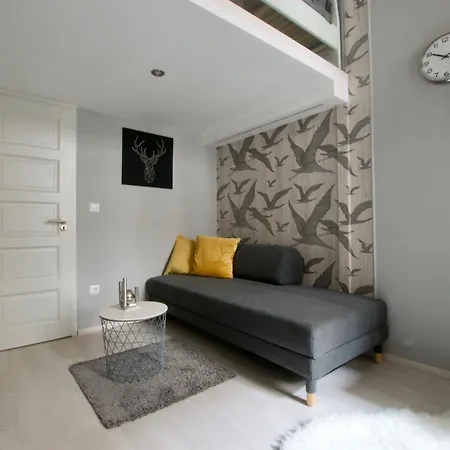 Standard By Hi5 - Teréz 6